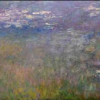 La imagen seleccionada corresponde a una de los nenúfares de Monet que trasmite una paz muy especial